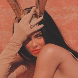 Meet your Posher, Bailey